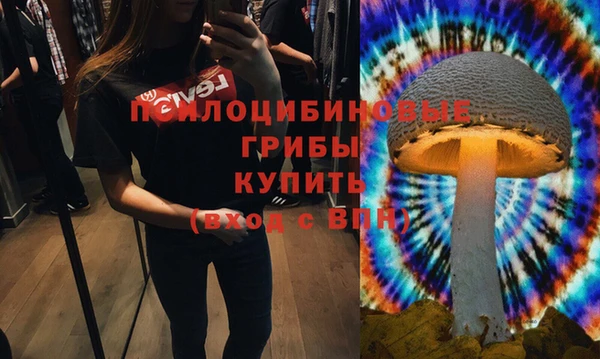 соль ск Балахна